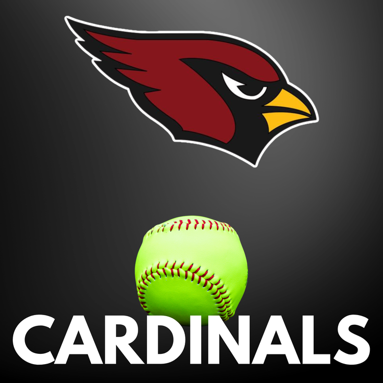 Orchard View Softball
