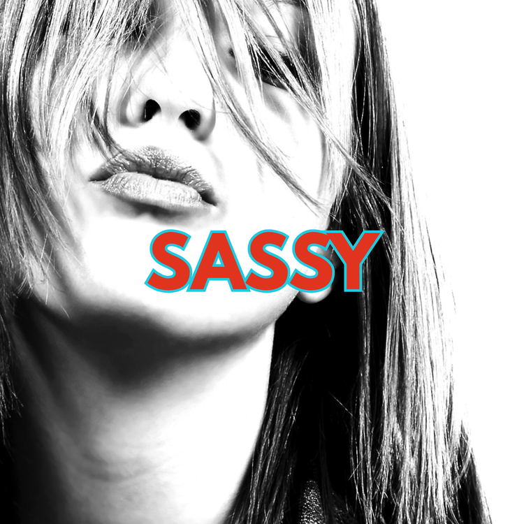 Funny Tees Sassy